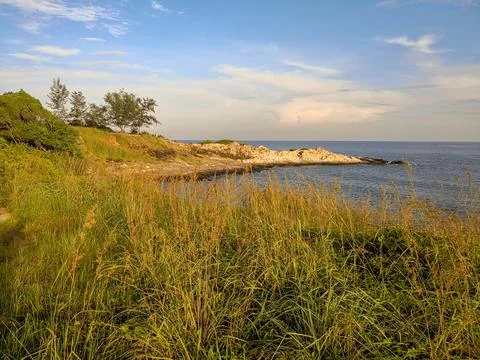 Beach Side View with Grass, Sky, and Clouds Stock Photos