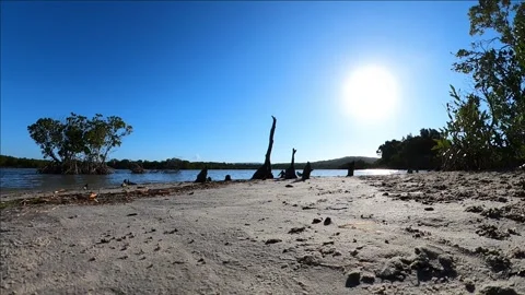 Beach side view with strange debris shapes in sand Stock Footage 316554785