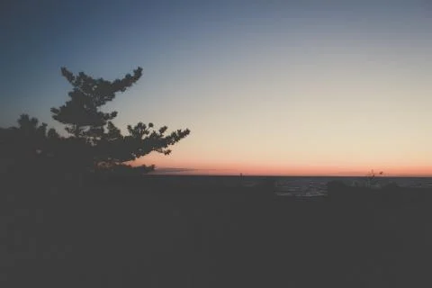  beach silhouette Stock Photos