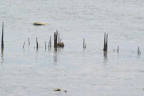 Beach Situation Stock Photos