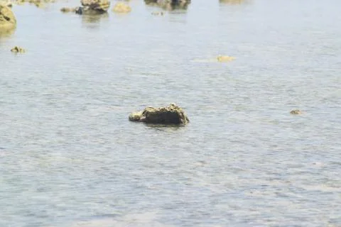 Beach Situation Foto stock