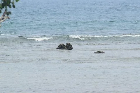 Beach Situation Foto stock