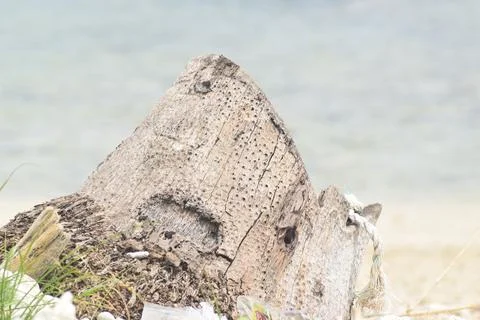 Beach Situation Foto stock