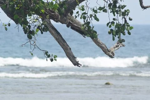Beach Situation Foto stock