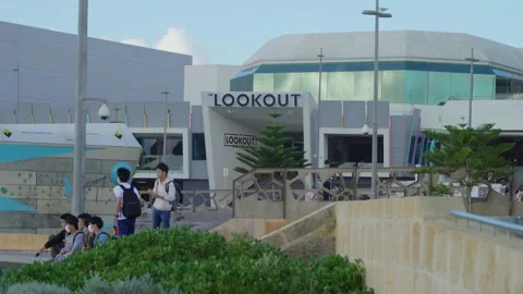 Beach skaters Stock Footage 202213735