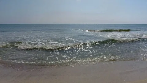 Beach skimmer Stock Footage 80733584
