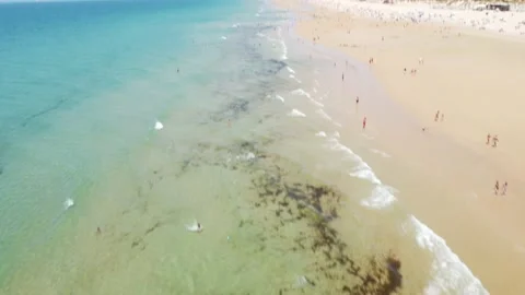 Beach from the sky Stock Footage 158548917