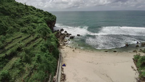 Beach from the sky Stock Footage 231829726