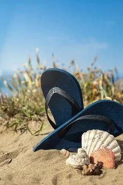 Beach slipper and shell on the sand on the Mediterranean coast Stock Photos