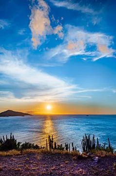 A beach with a small hill in the background Fotos Stock