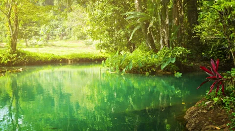 Beach on a small river in the rainforest Stock Footage 34281955