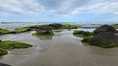 Beach with small rocks Stock Photos