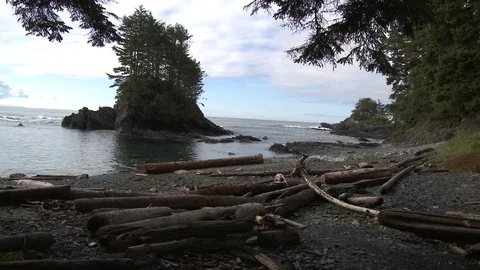 Beach with small waves and driftwood Video stock 75242053