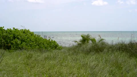 BEACH IN SOUTH FLORIDA Stock Footage 138826634