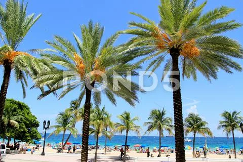 Beach in South Florida - Fort Lauderdale. Stock Photos