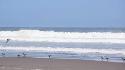 Beach in the south of Peru Stock-Footage 111345373