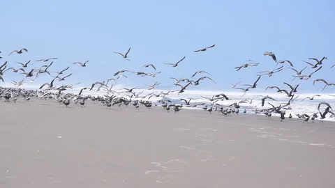 Beach in the south of Peru Stock Footage 111358490