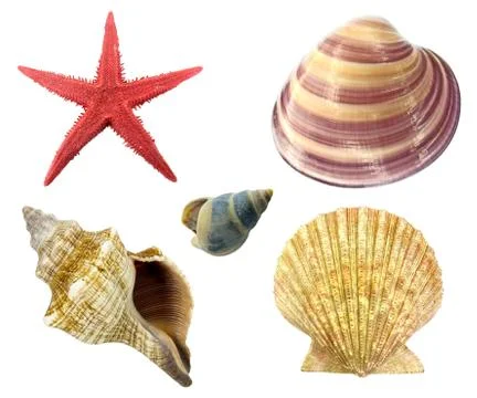 Beach souvenirs kit Stock Photos