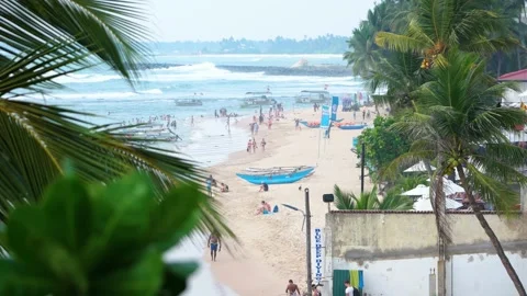 Beach in Sri Lanka Stock Footage 175864281