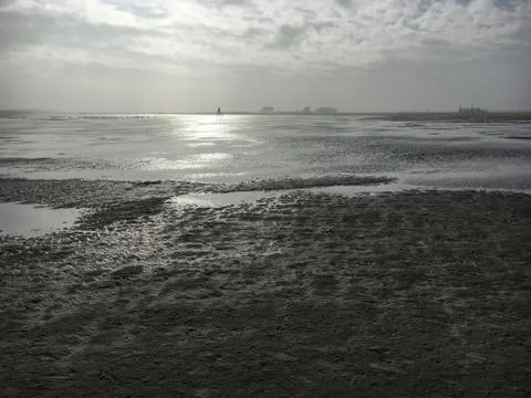 Beach in St. Peter-Ording on a cloudy day in winter Stock Photos