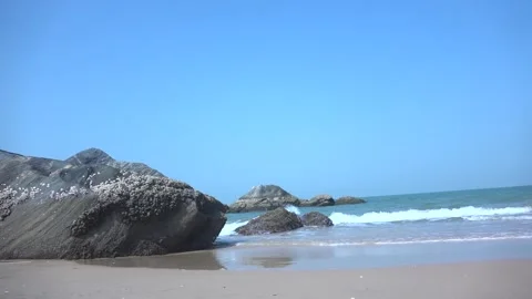Beach Stone Stock Footage 147612477