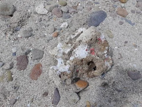 Beach stone Stock Photos