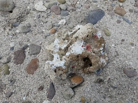 Beach stone Stock Photos