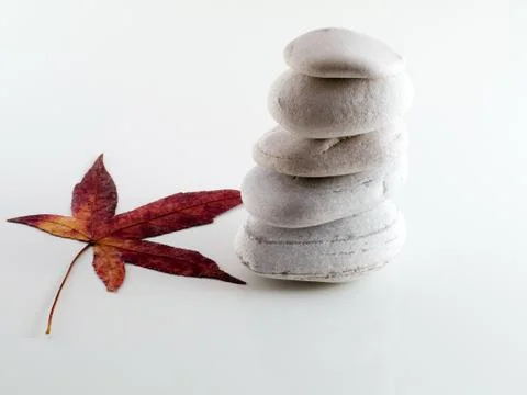 Beach stones with leaf Foto stock