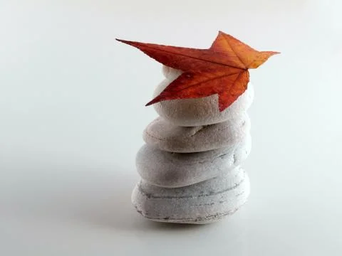 Beach stones with leaf Foto stock