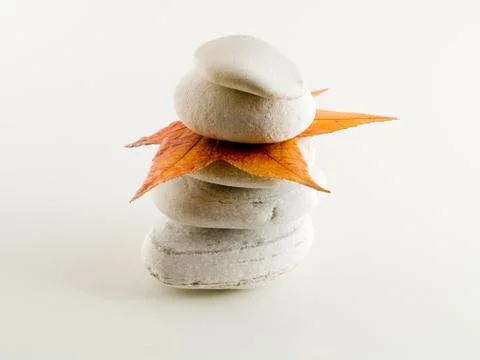 Beach stones with leaf 스톡 사진
