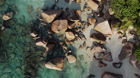 Beach with stones in Seychelles Stock Footage 167832609