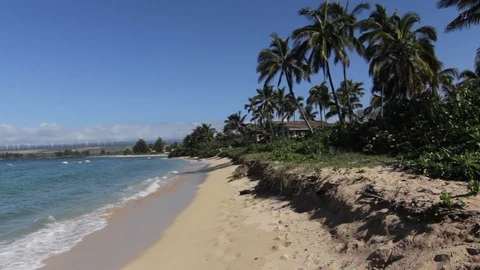 Beach Stroll Stock Footage 104707068