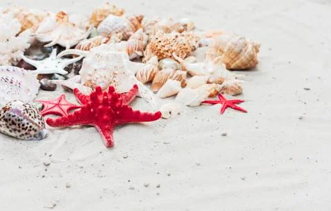 Beach summer background – seashells and sea stars on the sand Stock Photos