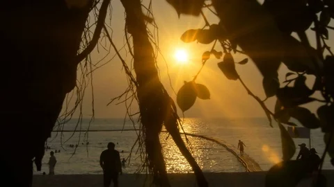 Beach sun light Stock Footage 75116888
