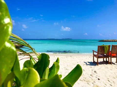 Beach sun Stock Photos