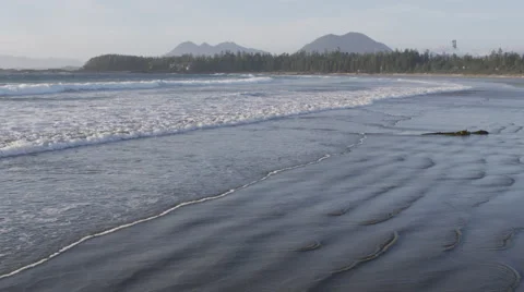 Beach Sun Surfer Forest Mountains Stock Footage 47289604