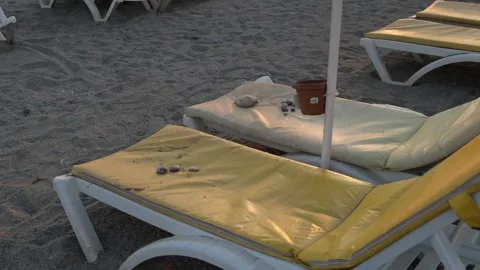 Beach Sunbeds Stock Footage 339706647