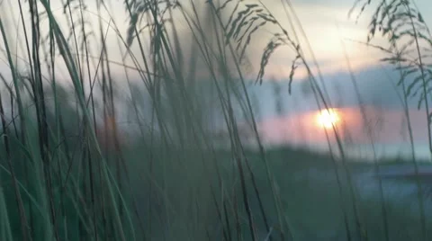 Beach Sunrise 02 Stock-Footage 7907127