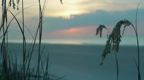 Beach Sunrise 03 Stock-Footage 7907168