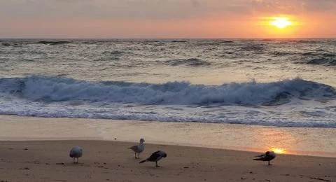 Beach sunrise 2 Stock Photos