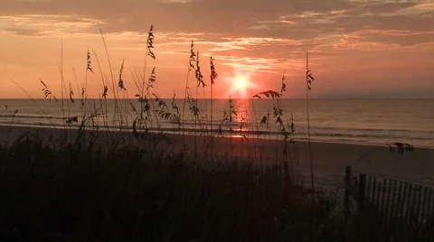 Beach Sunrise 4 库存影片 90168