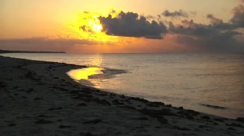 Beach Sunrise 5 動画素材 11019616