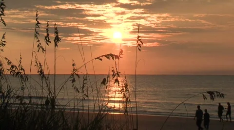 Beach Sunrise 6 库存影片 90169