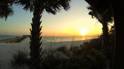 BEACH, SUNRISE BETWEEN PALM TREES (SUNSET) Stock Footage 37154169