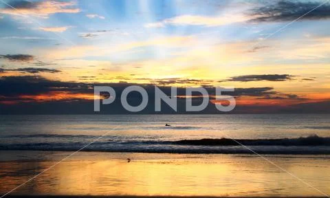 Beach sunrise with dolphin sunrays