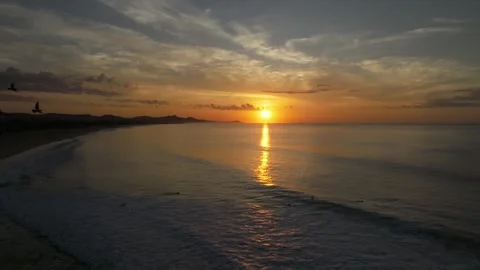 Beach Sunrise Doves Flying Stock Footage 247023724