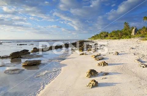 Beach at sunrise, Fakarava, Tuamotu Islands, French Polynesia Stock Photos