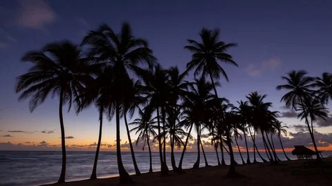 Beach at sunrise Stock Footage