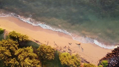 Beach Sunrise Stock Footage