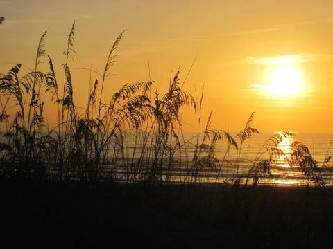 Beach Sunrise Foto stock